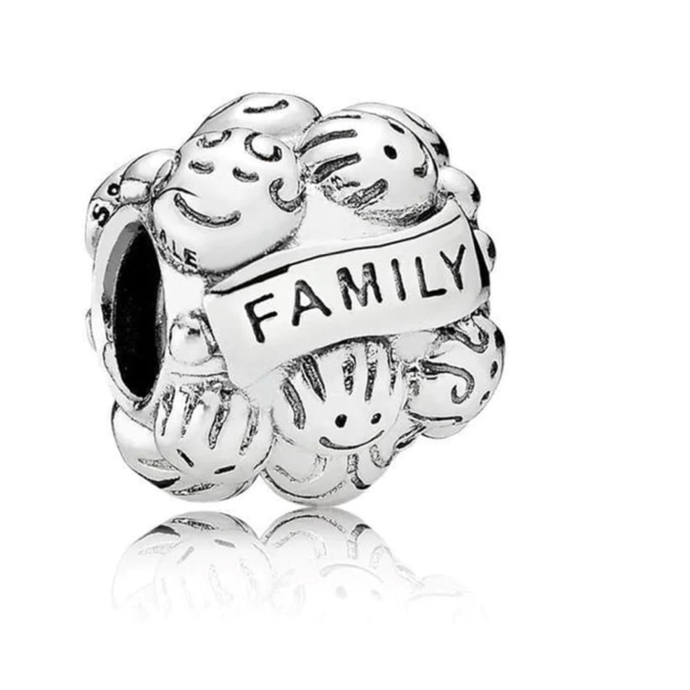 Love & Family Pandora Charm